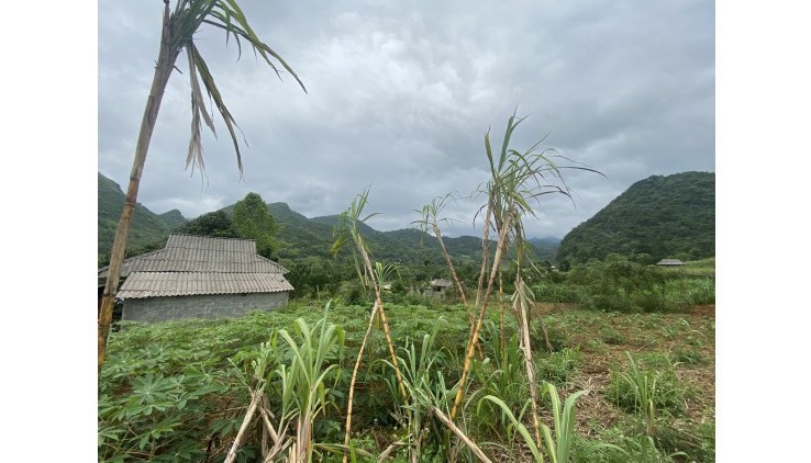 Bán đất cao Phong full thổ cư chỉ 390nghìn/m2